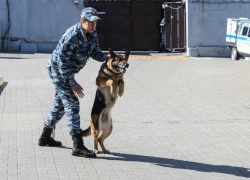 ГБР задержала подозрительного мужчину возле воронежской школы 