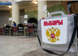 Названа дата голосования на сентябрьских выборах в Воронежской области