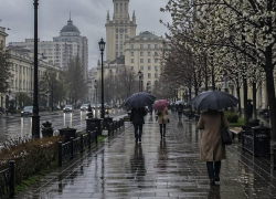 Чего ждать от погоды в Воронеже на выходных?