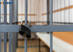 За искажение герба Воронежской области оштрафовали местного жителя