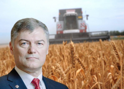 Новым постом одарили зампреда Воронежского облправительства Виктора Логвинова