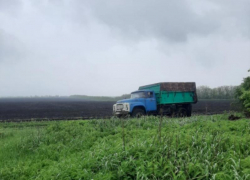 Грузовик задавил мужчину в поле в Воронежской области  