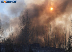 Неизвестные подожгли лес у воронежской больницы