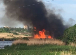 Мощный пожар на берегу реки Песчановка в Воронеже попал на видео
