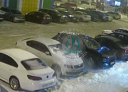 Обратную сторону потепления показали воронежцам