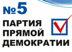 Партия прямой демократии – пожалуй, лучший выбор для каждого воронежца 