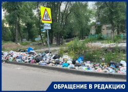 Запредельное свинство жителей воронежской улицы показали на фото 