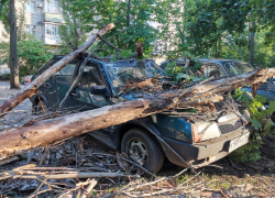 Рухнувшее дерево уничтожило припаркованную Lada в Воронеже