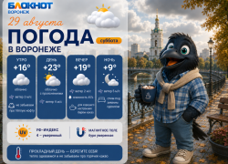 Летние капризы: прогноз погоды в Воронеже