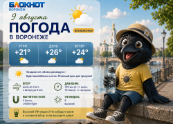 Воронеж удивит теплой сказкой до самой ночи: прогноз погоды