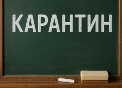 Больше 200 классов закрыли на карантин в Воронеже