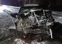 11-летний мальчик умер в лобовом ДТП под Воронежем 