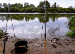 В Воронеже начали подготовку к ограничению весеннего рыболовства из-за нереста