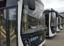 Областной перевозчик забрал 7 маршрутов общественного транспорта