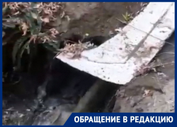 Зловонная река с фонтанами разливается по скверу в Воронеже