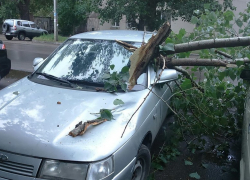 Упавшее дерево разбило три автомобиля в Воронеже