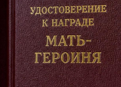 Звания «Мать-героиня» удостоились сразу три жительницы Воронежской области