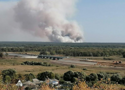 75 гектаров леса уничтожил огонь в воронежском селе 
