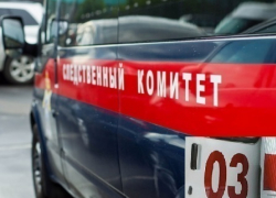 В Воронежской области мужчина потратил деньги и убил мать за упрек
