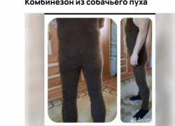 Зимний вариант: комбинезон из собачьего пуха продают за большие деньги в Воронеже