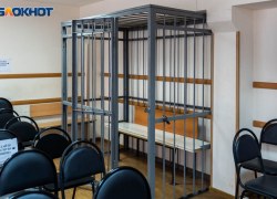 Экс-главе миграционного отдела воронежской полиции отказали в отмене приговора