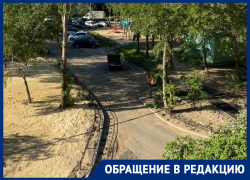 В кошачий лоток превратили двор в Воронеже 