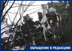 «Я боюсь за внучку»: как выглядит детская площадка в воронежском дворе, показали на видео