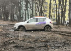 Жлобство победило каршеринг в Воронеже 