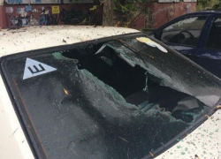 В Воронеже рухнувшее дерево повредило две машины в Советском районе