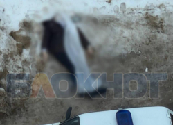 Полиция прокомментировала ситуацию с трупом в центре Воронежа