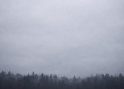 Недоброе утро с сиренами: БПЛА сбили на подлете к Воронежу 