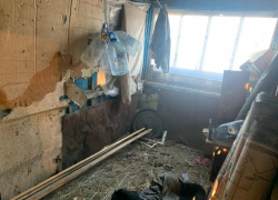 Под Воронежем мужчина избил до смерти собственную мать