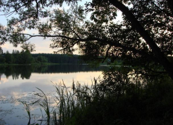 Из пруда в Воронежской области достали тело утопленницы