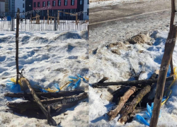 В водоканале дали разъяснения по ситуации с люком, в который упал воронежец