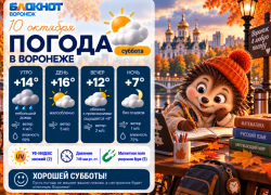 Отличное время для осенних прогулок: прогноз погоды в Воронеже