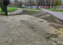 Произошло оглупение: с бульвара Победы в Воронеже пропала умная остановка 