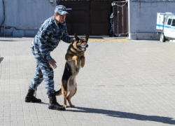 По следам крови в Воронеже вычислили сигаретного вора 