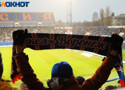 Больше 100 млн рублей получит в 2023 году от спонсора воронежский «Факел»