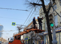 Деградирующие деревья спилили на проспекте Революции в Воронеже