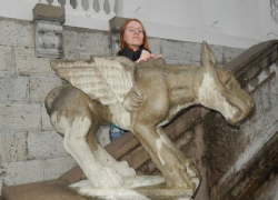 Первый пошёл: в Семилуках выступили за возврат прямых выборов префекта