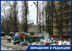 Рай для грызунов нашли рядом с гимназией в Воронеже