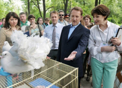 Для Надежды Стороженко в правительстве Воронежской области подобрали новую должность