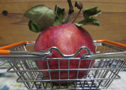 Есть невозможно: что делать, если выросли отвратительные яблоки
