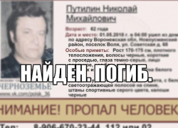 Пропавшего 1 мая воронежского пенсионера нашли мертвым