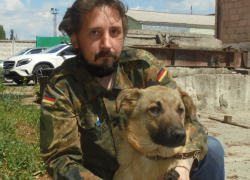 Более 20 животных и предприниматель могут оказаться на улице в Воронеже