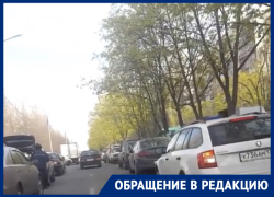 Воронежцы непослушно отправились на Птичий рынок вместо самоизоляции 