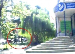 Стали известны подробности жестокой расправы над 31-летним мужчиной в центре Воронежа 