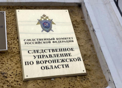 Мать зарезала дочь и задушила сына в Воронеже 