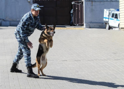 Фальшивомонетчик из Дагестана попался воронежским силовикам во время эксперимента