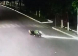 Жесткое приземление воронежского байкера-трюкача попало на видео